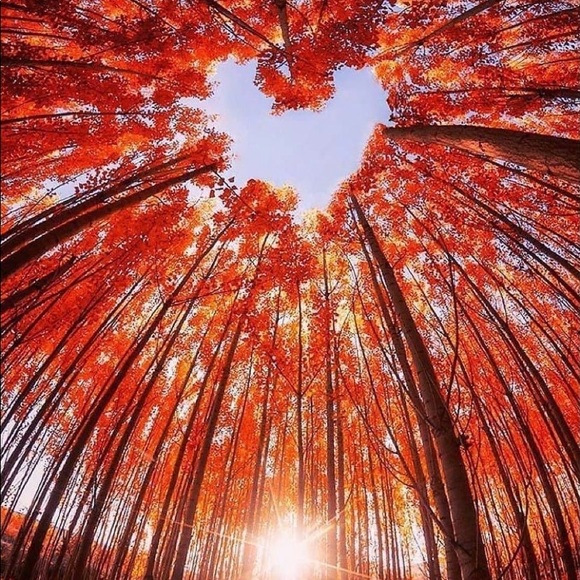 Meet your Posher, Beth - Picture 1 of 1